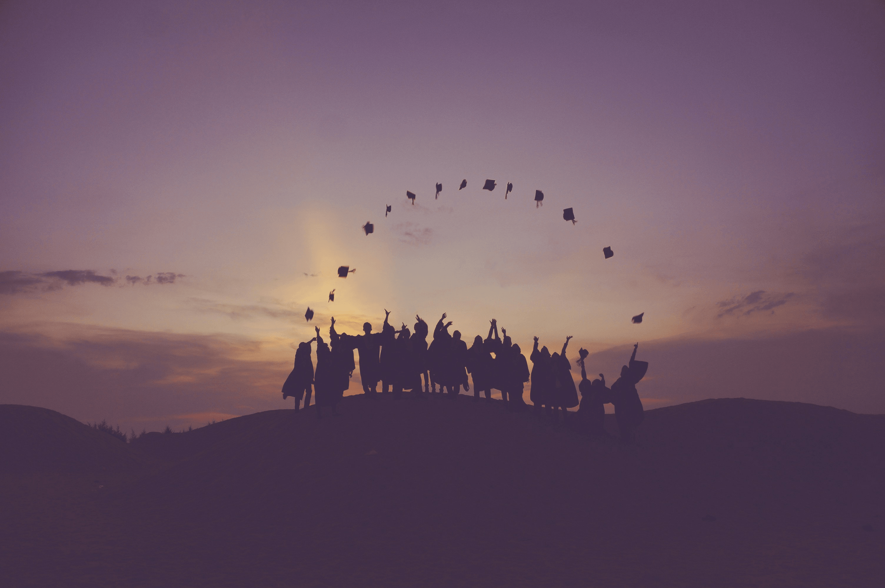 Degree Programs