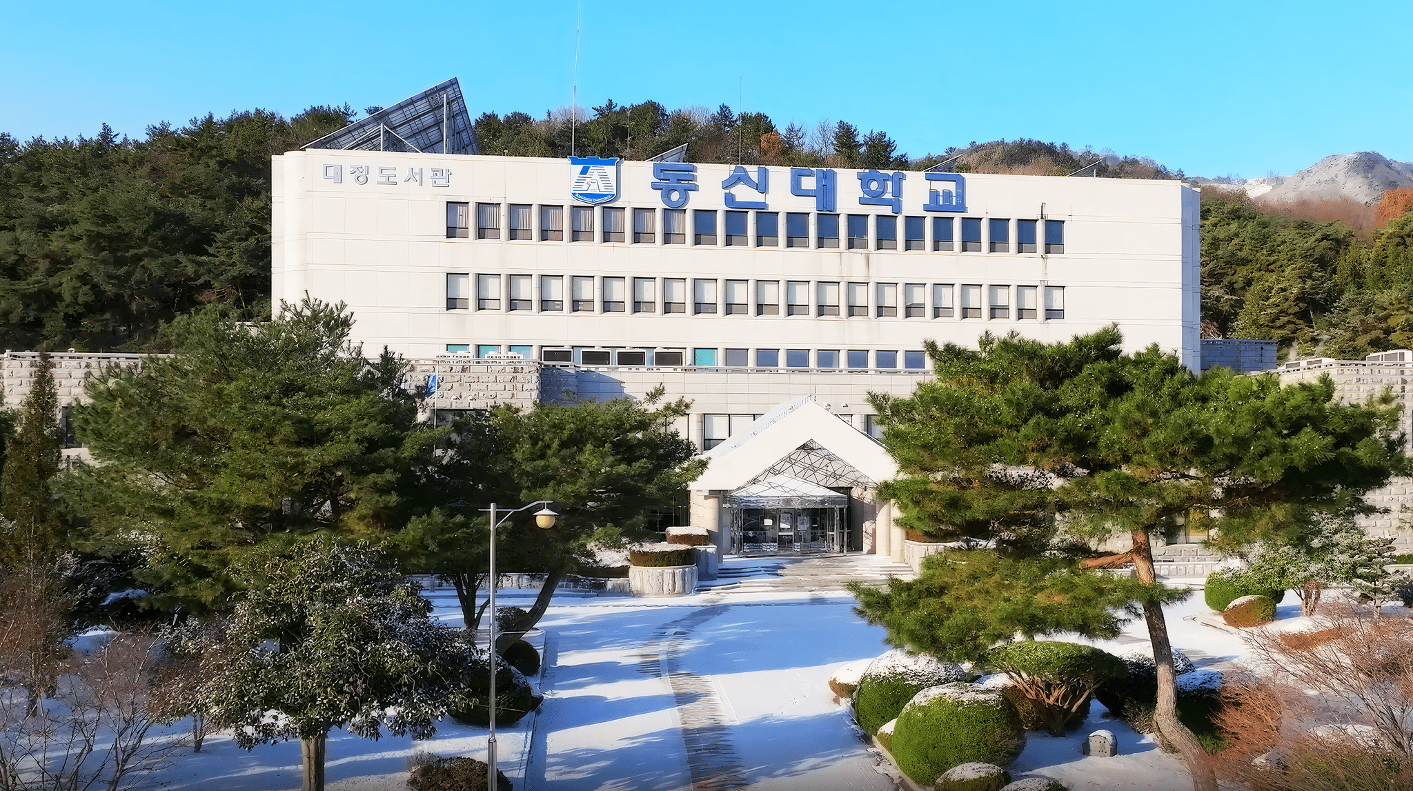 dsu